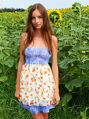 Delicious teen with impressive breasts and hairy pussy taking off clothes among the sunflowers.